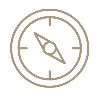 compass icon tight